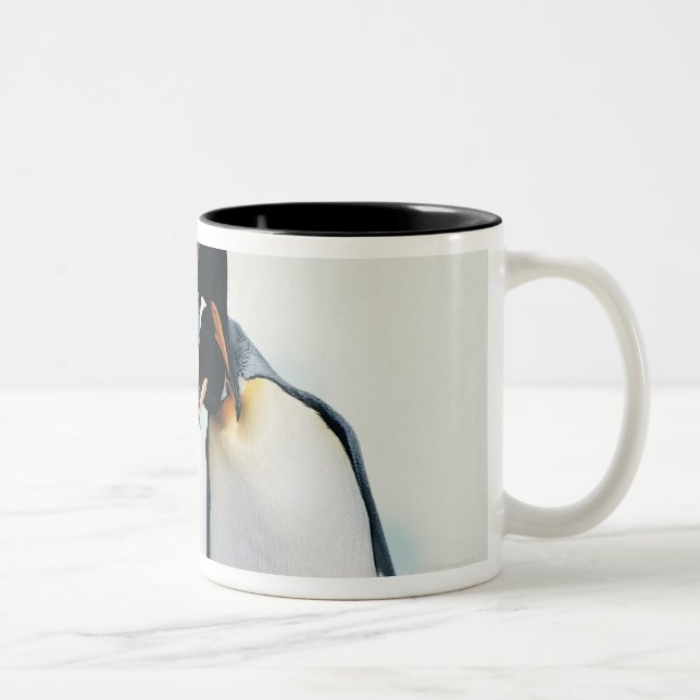 Tasse 2 Couleurs Deux pingouins affectueux (Droit)