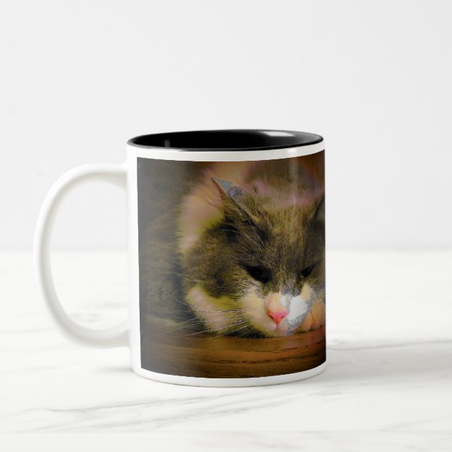 Tasse 2 Couleurs Devrait être resté chez le chat Meme de lit (Gauche)