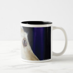 Tasse 2 Couleurs Diadème de port de lévrier afghan