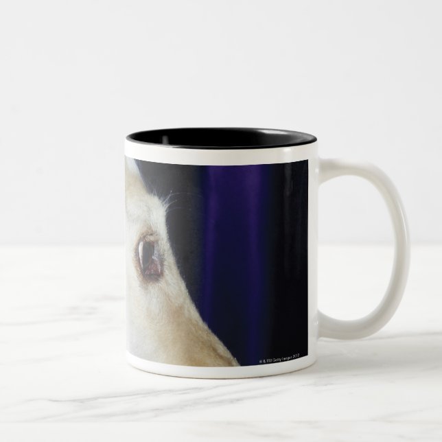 Tasse 2 Couleurs Diadème de port de lévrier afghan (Droit)