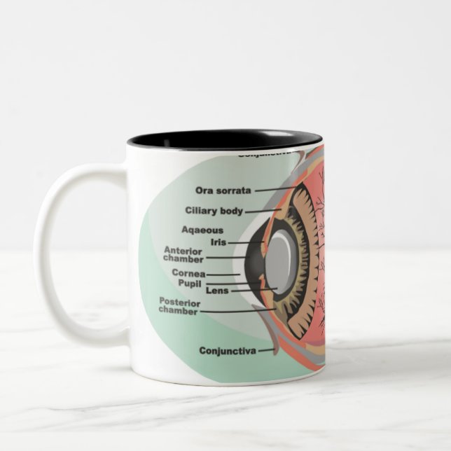 Tasse 2 Couleurs Diagramme des yeux pour le Mois national des soins (Gauche)
