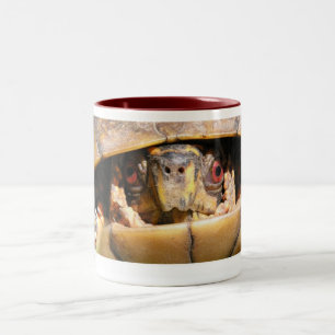Tasse 2 Couleurs Diane 01