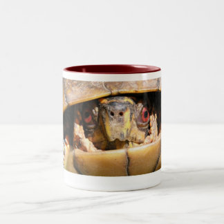 Tasse 2 Couleurs Diane 01