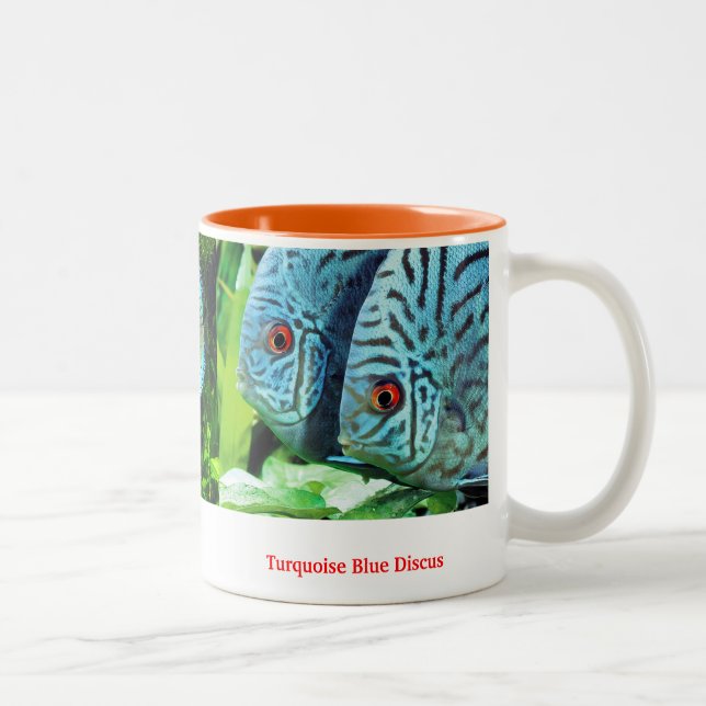 Tasse 2 Couleurs Discus fish (Droit)
