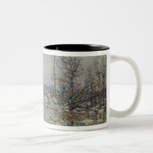 Tasse 2 Couleurs Dissolution de la glace, 1880