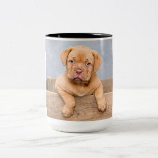 Tasse 2 Couleurs Dogue de Bordeaux