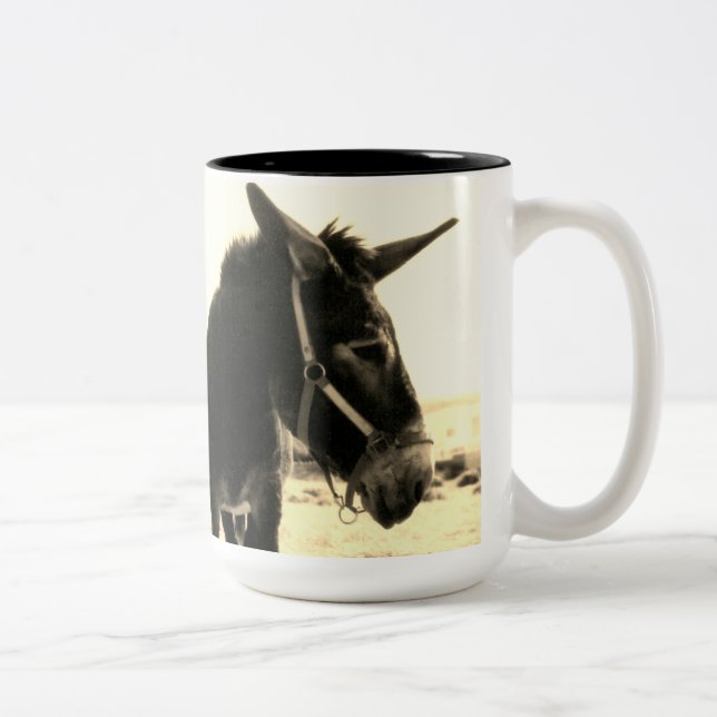 Tasse 2 Couleurs Donkey (Droit)