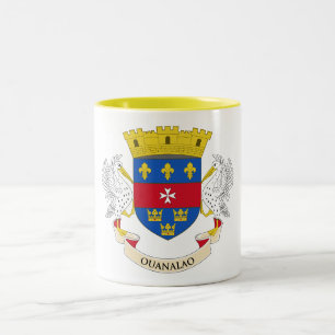 Tasse 2 Couleurs Drapeau de Saint-Barthélemy