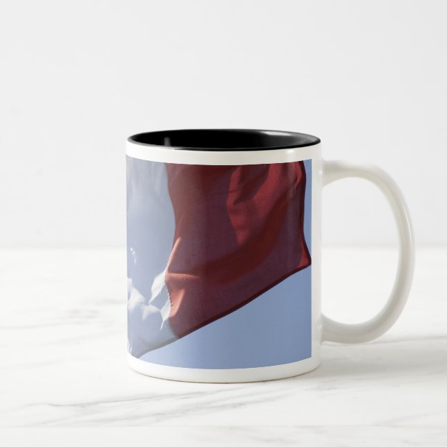 Tasse 2 Couleurs Drapeau irlandais (Droit)