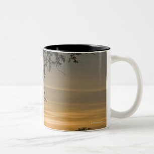 Tasse 2 Couleurs Ducs Géants (lacteus de Bubo) silhouettés à