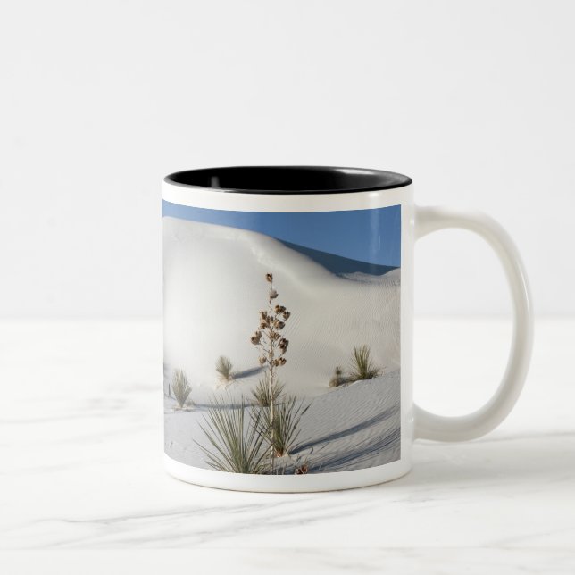 Tasse 2 Couleurs Dunes transversales et Yucca à feuilles de savon (Droit)
