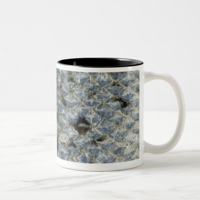 Tasse 2 Couleurs Échelles de poissons 2 (Droit)