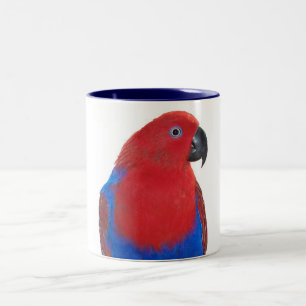 Tasse 2 Couleurs Eclectus femelle 11oz