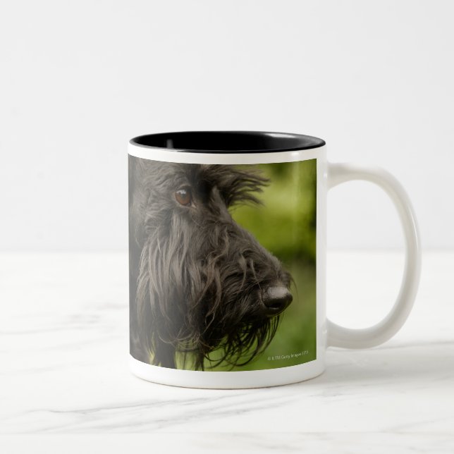 Tasse 2 Couleurs Écossais Terrier (Droit)