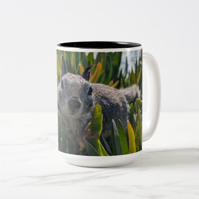 Tasse 2 Couleurs Écureuil de Californie (Devant droit)