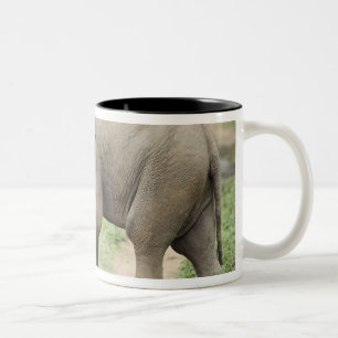 Tasse 2 Couleurs Éléphant bébé suivant sa mère, Corbett