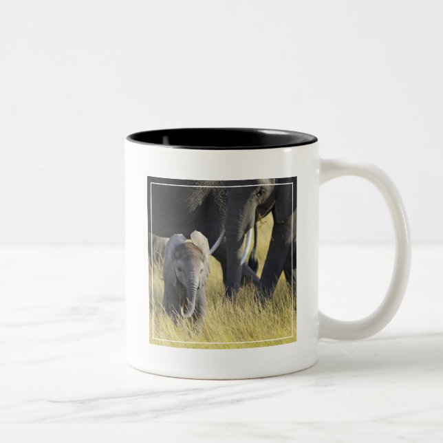 Tasse 2 Couleurs Éléphant de bébé (Droit)