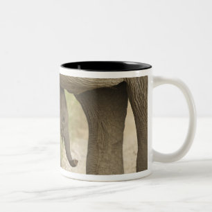 Tasse 2 Couleurs Éléphant indien / asiatique et jeune, Corbett