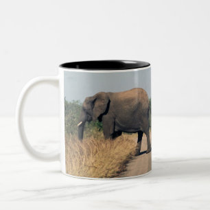 Tasse 2 Couleurs Éléphants