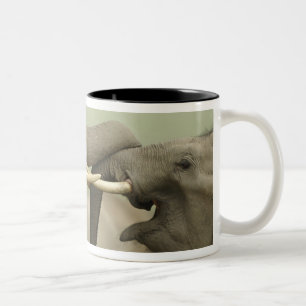 Tasse 2 Couleurs Éléphants asiatiques indiens s'amusent à se battre