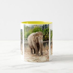 Tasse 2 Couleurs éléphants indiens