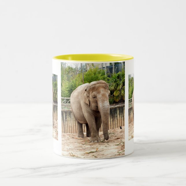 Tasse 2 Couleurs éléphants indiens (Centre)