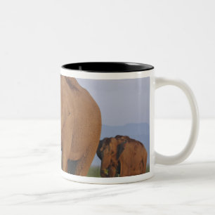 Tasse 2 Couleurs Éléphants indiens dans la prairie