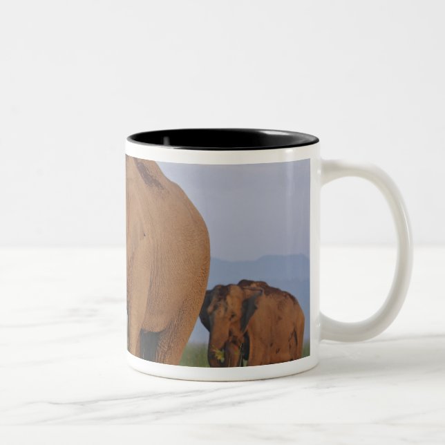 Tasse 2 Couleurs Éléphants indiens dans la prairie (Droit)