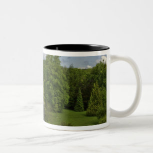 Tasse 2 Couleurs En Irlande, au château de Blarney une tour en pier