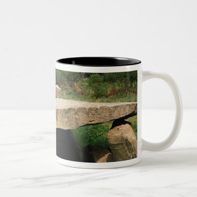 Tasse 2 Couleurs Entrée au hypogaea (Droit)