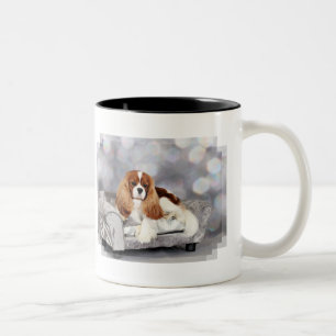 Tasse 2 Couleurs Épagneul cavalier du Roi Charles - Ethan