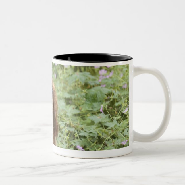 Tasse 2 Couleurs Épagneul cavalier rouge du Roi Charles dans (Droit)