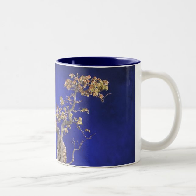 Tasse 2 Couleurs Érable de Trident de tasse/bonsaïs (Droit)
