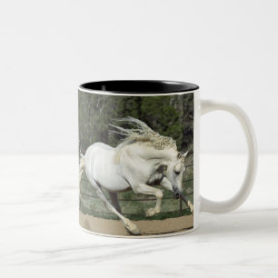 Tasse 2 Couleurs Étalon andalou en course, PR