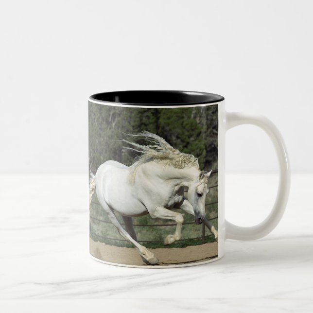 Tasse 2 Couleurs Étalon andalou en course, PR (Droit)