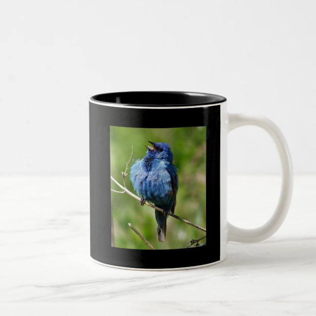 Tasse 2 Couleurs Étamine d'indigo 1, chaude tout l'oiseau (Droit)