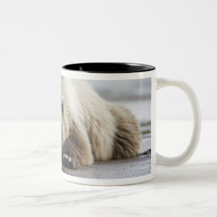 Tasse 2 Couleurs États-Unis, Alaska, parc national de Katmai, Ours