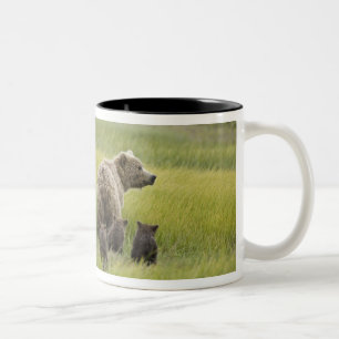 Tasse 2 Couleurs États-Unis, Alaska, parc national de Lake Clark. G