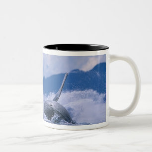 Tasse 2 Couleurs États-Unis, Alaska, Tongass National Forest, Bossu