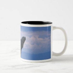 Tasse 2 Couleurs États-Unis, Alaska, Tongass National Forest, Bossu
