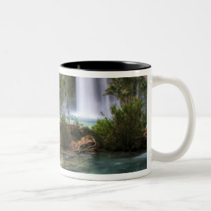 Tasse 2 Couleurs États-Unis, Arizona, Havasu Canyon. Le paisible