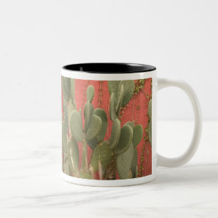 Tasse 2 Couleurs États-Unis, Arizona, Tucson : Presidio Historic Di