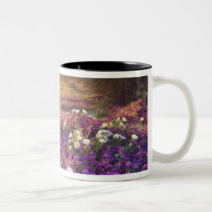 Tasse 2 Couleurs États-Unis, Californie, Parc d'État du désert d'An