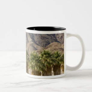Tasse 2 Couleurs États-Unis, Californie, parc d'État du désert d'An