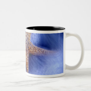 Tasse 2 Couleurs États-Unis, Caroline du Sud, île de Hilton Head. D