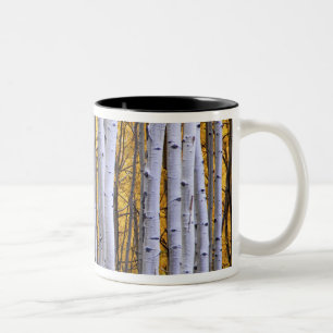 Tasse 2 Couleurs États-Unis, Colorado, Montagnes Rocheuses. Scène i