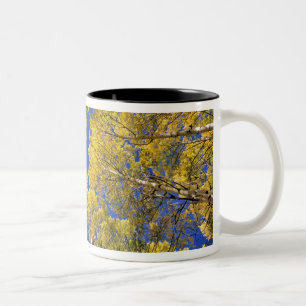 Tasse 2 Couleurs États-Unis, Colorado, région d'Aspen. Forêt de tre