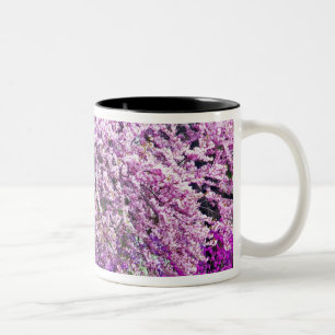Tasse 2 Couleurs États-Unis, Delaware, Wilmington. Banc en bois sou