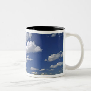 Tasse 2 Couleurs États-Unis, État de Washington, Colfax. L'orge mûr