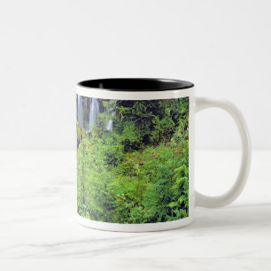 Tasse 2 Couleurs États-Unis, État de Washington, Mt Adams Wildernes